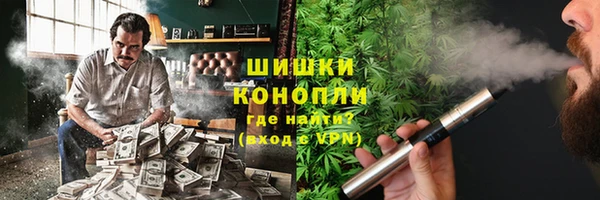 мдпв Кодинск