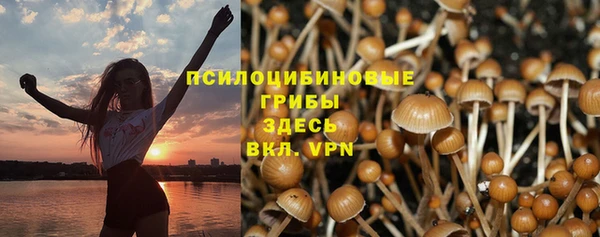 бошки Козельск