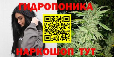 соль ск Янаул