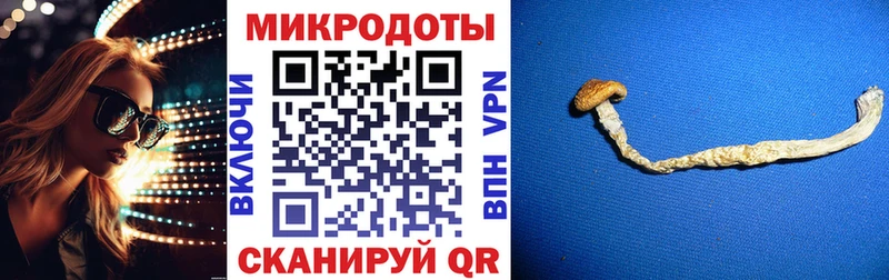 Галлюциногенные грибы Psilocybine cubensis Кинешма