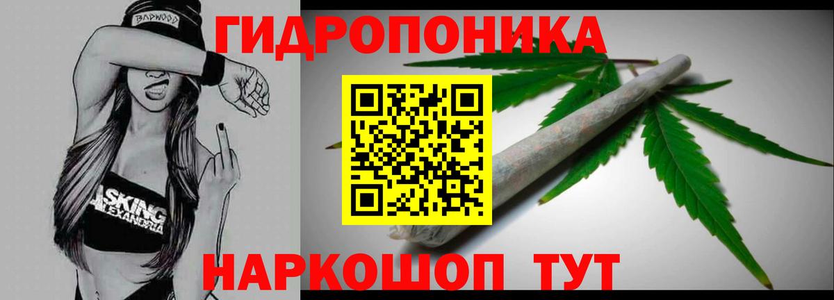 Конопля планчик Кинешма